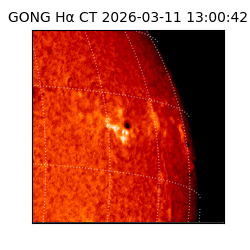 gong - 2026-03-11T13:00:42