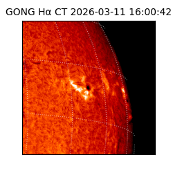 gong - 2026-03-11T16:00:42