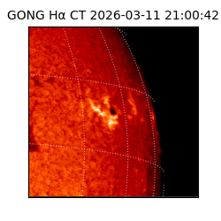 gong - 2026-03-11T21:00:42