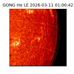 gong - 2026-03-11T01:00:42