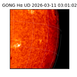 gong - 2026-03-11T03:01:02
