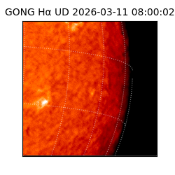 gong - 2026-03-11T08:00:02