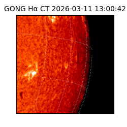 gong - 2026-03-11T13:00:42