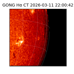 gong - 2026-03-11T22:00:42