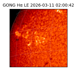 gong - 2026-03-11T02:00:42