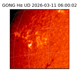 gong - 2026-03-11T06:00:02