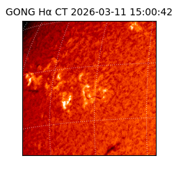 gong - 2026-03-11T15:00:42