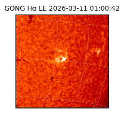 gong - 2026-03-11T01:00:42