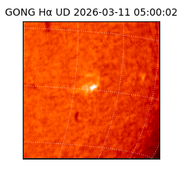 gong - 2026-03-11T05:00:02