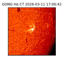 gong - 2026-03-11T17:00:42