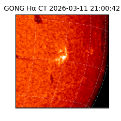 gong - 2026-03-11T21:00:42