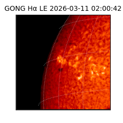 gong - 2026-03-11T02:00:42