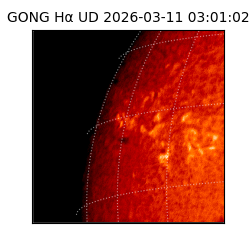 gong - 2026-03-11T03:01:02
