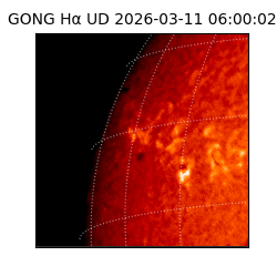 gong - 2026-03-11T06:00:02