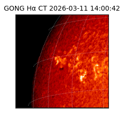 gong - 2026-03-11T14:00:42