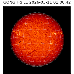 gong - 2026-03-11T01:00:42
