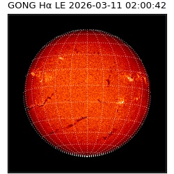 gong - 2026-03-11T02:00:42