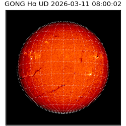 gong - 2026-03-11T08:00:02