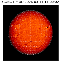gong - 2026-03-11T11:00:02