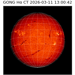 gong - 2026-03-11T13:00:42