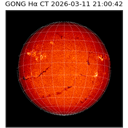 gong - 2026-03-11T21:00:42