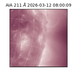 saia - 2026-03-12T08:00:09.622000