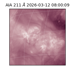 saia - 2026-03-12T08:00:09.622000