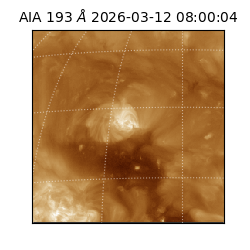 saia - 2026-03-12T08:00:04.842000