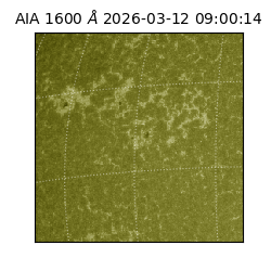 saia - 2026-03-12T09:00:14.124000