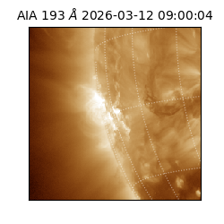 saia - 2026-03-12T09:00:04.842000