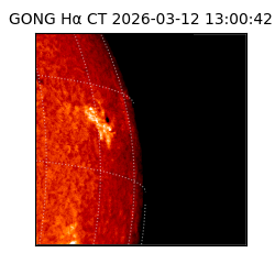 gong - 2026-03-12T13:00:42