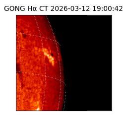 gong - 2026-03-12T19:00:42