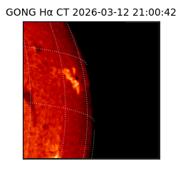 gong - 2026-03-12T21:00:42