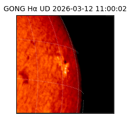 gong - 2026-03-12T11:00:02