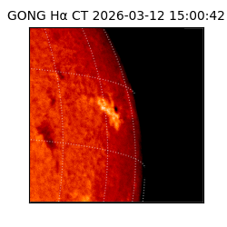 gong - 2026-03-12T15:00:42