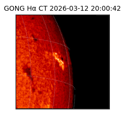gong - 2026-03-12T20:00:42