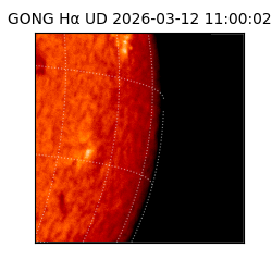 gong - 2026-03-12T11:00:02
