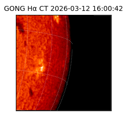 gong - 2026-03-12T16:00:42