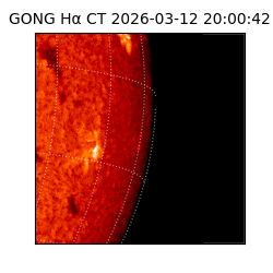 gong - 2026-03-12T20:00:42