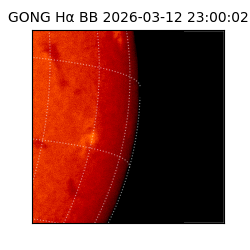 gong - 2026-03-12T23:00:02