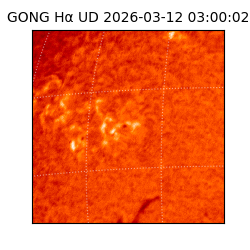 gong - 2026-03-12T03:00:02