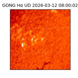 gong - 2026-03-12T08:00:02