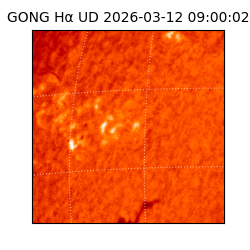 gong - 2026-03-12T09:00:02