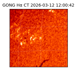 gong - 2026-03-12T12:00:42