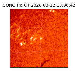 gong - 2026-03-12T13:00:42