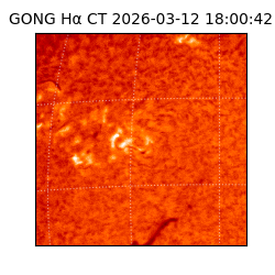 gong - 2026-03-12T18:00:42