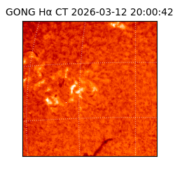 gong - 2026-03-12T20:00:42