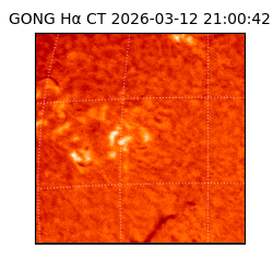 gong - 2026-03-12T21:00:42