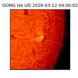 gong - 2026-03-12T04:00:02