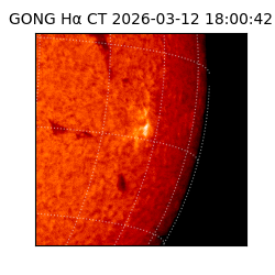 gong - 2026-03-12T18:00:42
